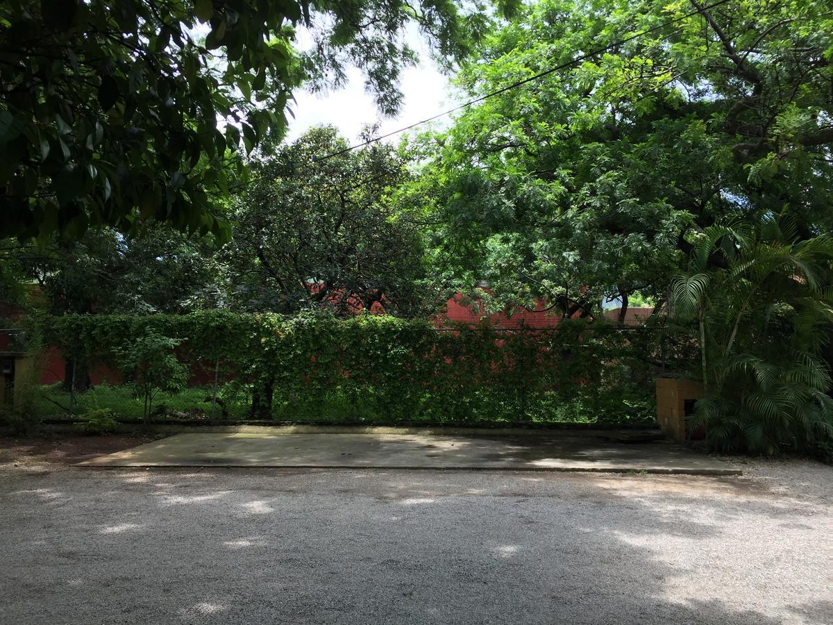 Tubohotel Tepoztlán Eksteriør billede